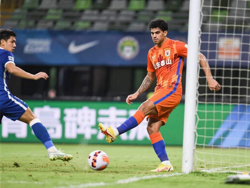 无奈之举 无奈之举