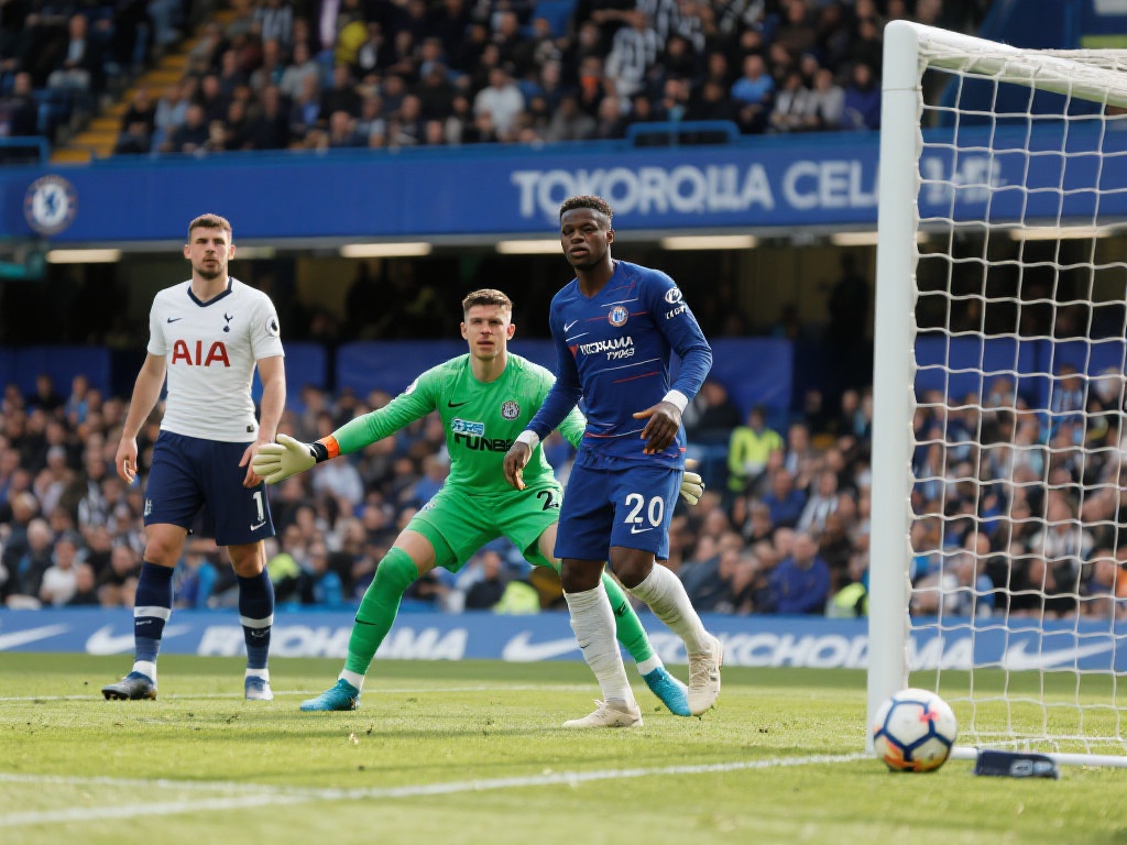 自己的引援 自己的引援